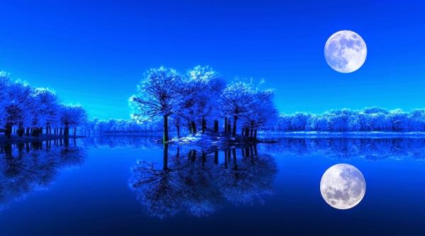In nächtlichen Blautönen spiegelnde Bäume und Vollmond auf einen See.