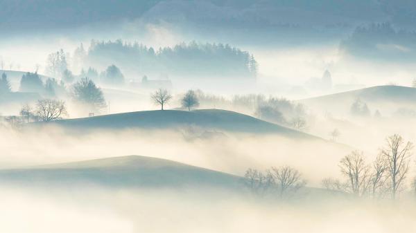 Hügelige Landschaft in Nebel getaucht.