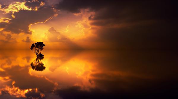Spiegelnder Baum im See und ein in Sonnenfarben getauchter Horizont mit Wolken.