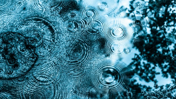 Durch Regen ausgelöste konzentrisch ineinander greifende Wellen in einer Pfütze.