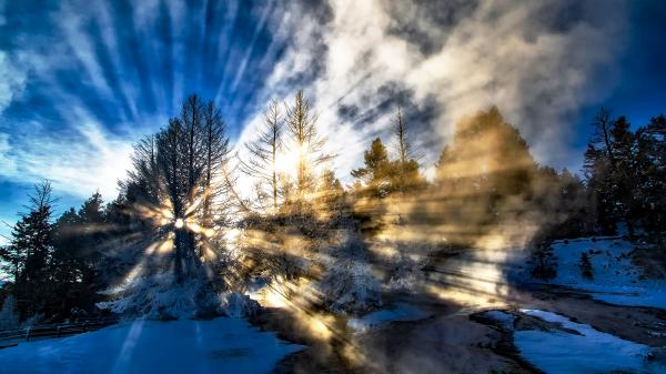 Sonnenstrahlen dringen durch eine winterliche Waldlandschaft.