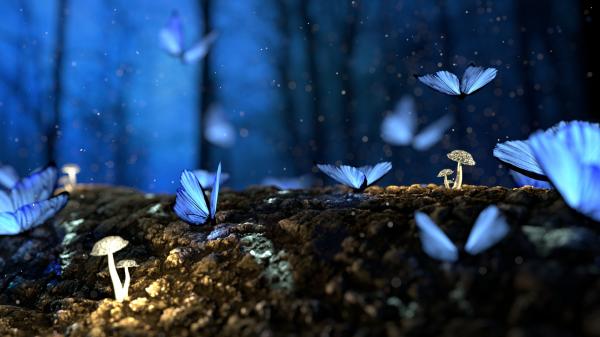 Blaue Schmetterlinge tummeln sich bei dämmerlicht am Waldboden.