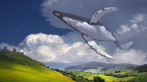 Fantasie Landschaftsbild, Wal schwebt in den Wolken.