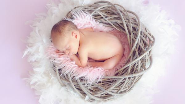 Baby in einem Nest.