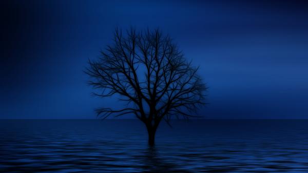 Einsamer Baum in Dunkelheit.