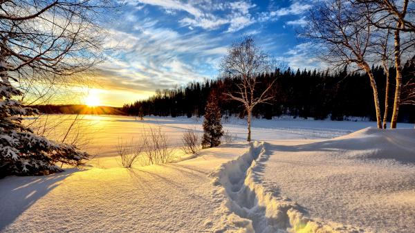 Winterlandschaft beim Sonnenaufgang.
