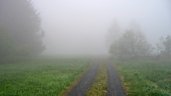 Ein Feldweg führt in eine Nebelwand.