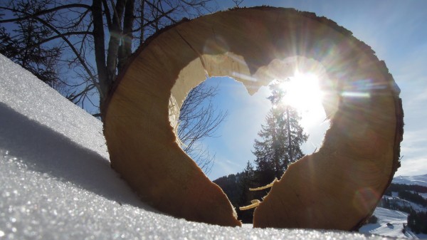 Herz im Baumstamm durch den die Sonne scheint in einer Schneelandschaft